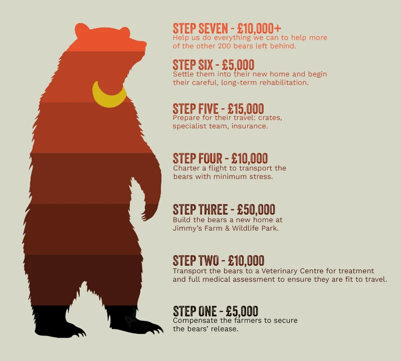 Bear o Meter Fundraising