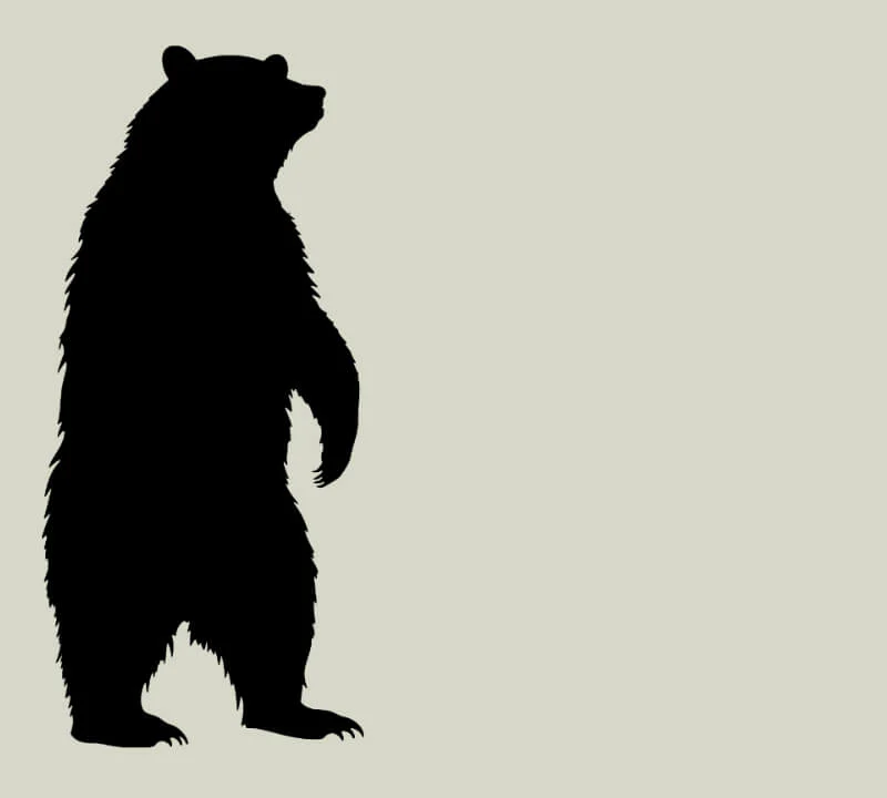 Bear o Meter Fundraising