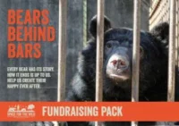 Bears Behind Bars