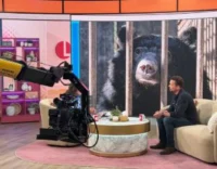 Jimmy Doherty on Lorraine in ITV