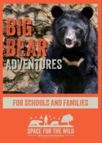School Pack Cover
