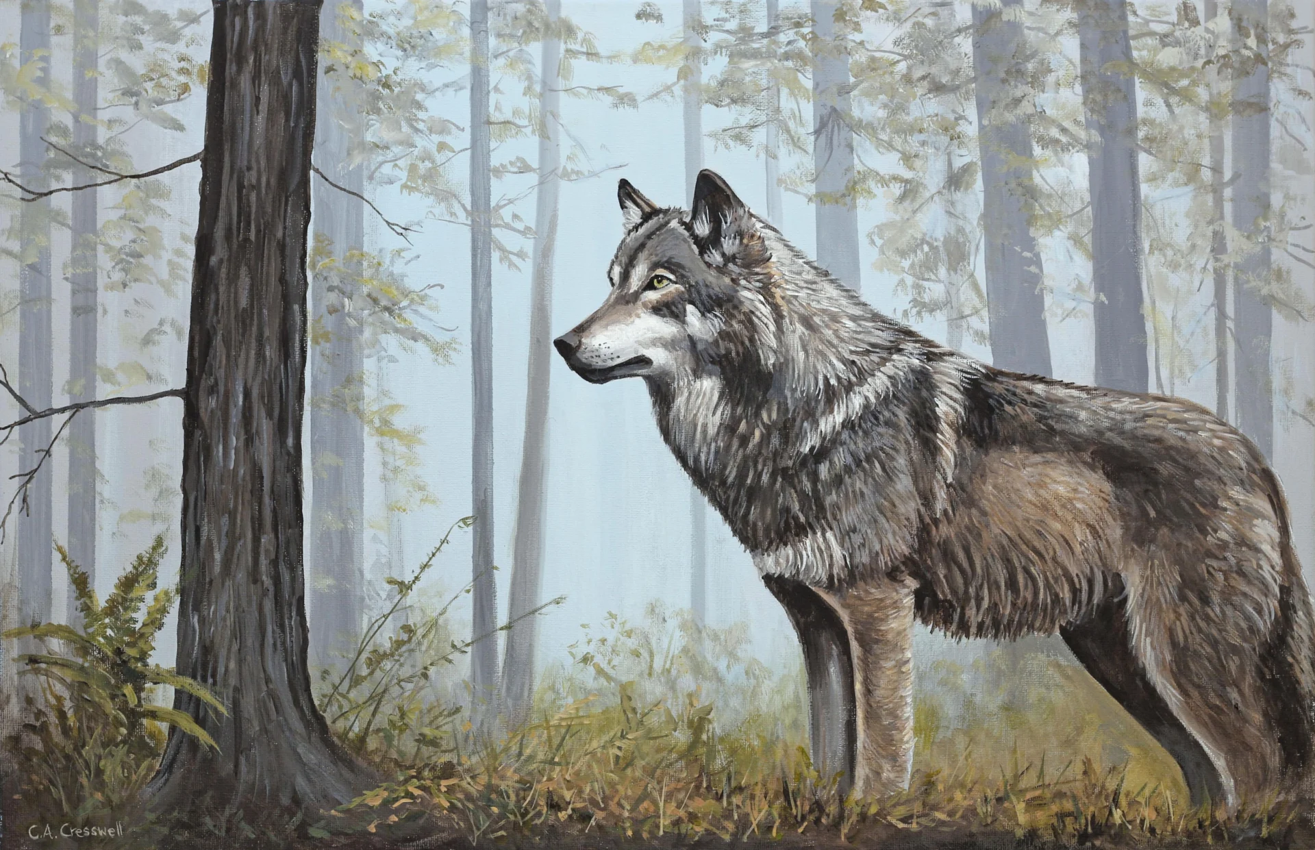 Wolf